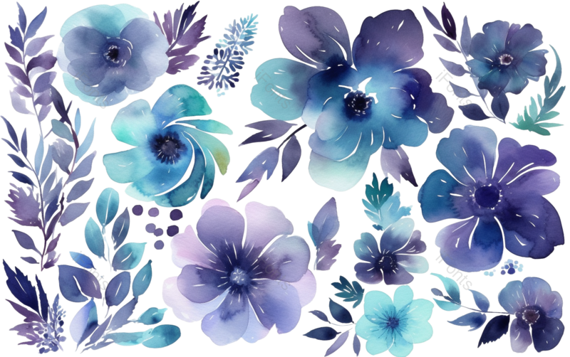 叶子图片,花卉元素,花朵PNG,手绘花朵免抠素材